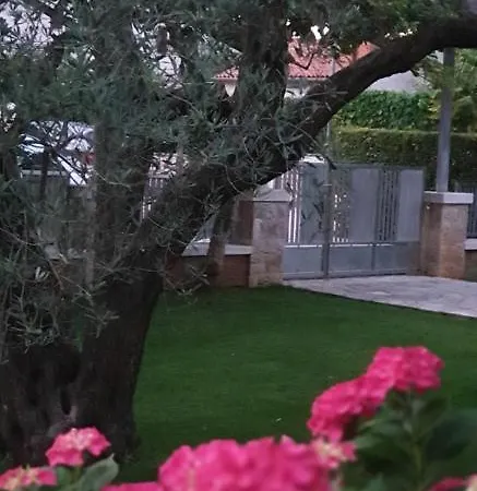 Cocaletto5 Ρόβινι